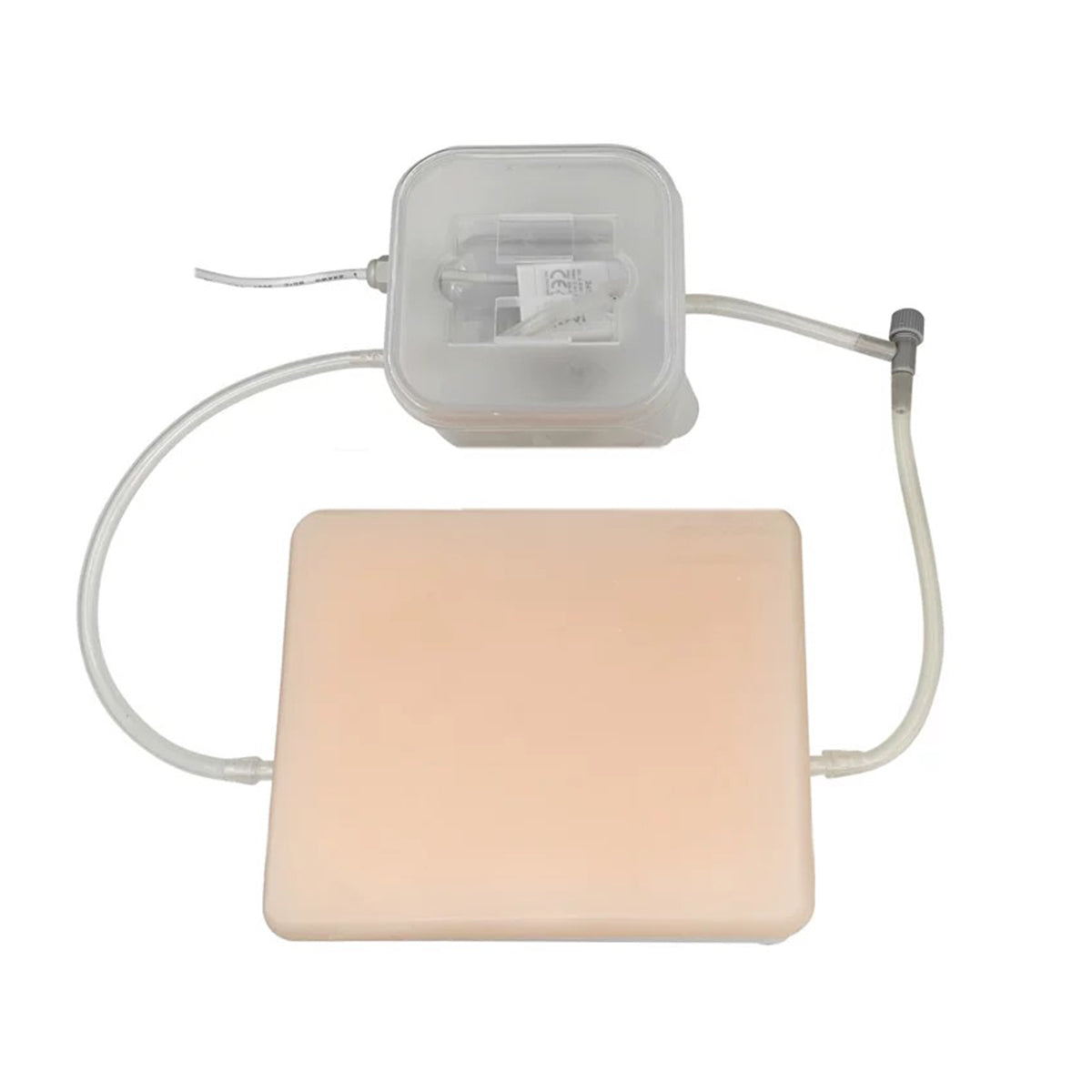 Ultrasound Training Pad with Veins, Nerves, Tumor and Cyst
