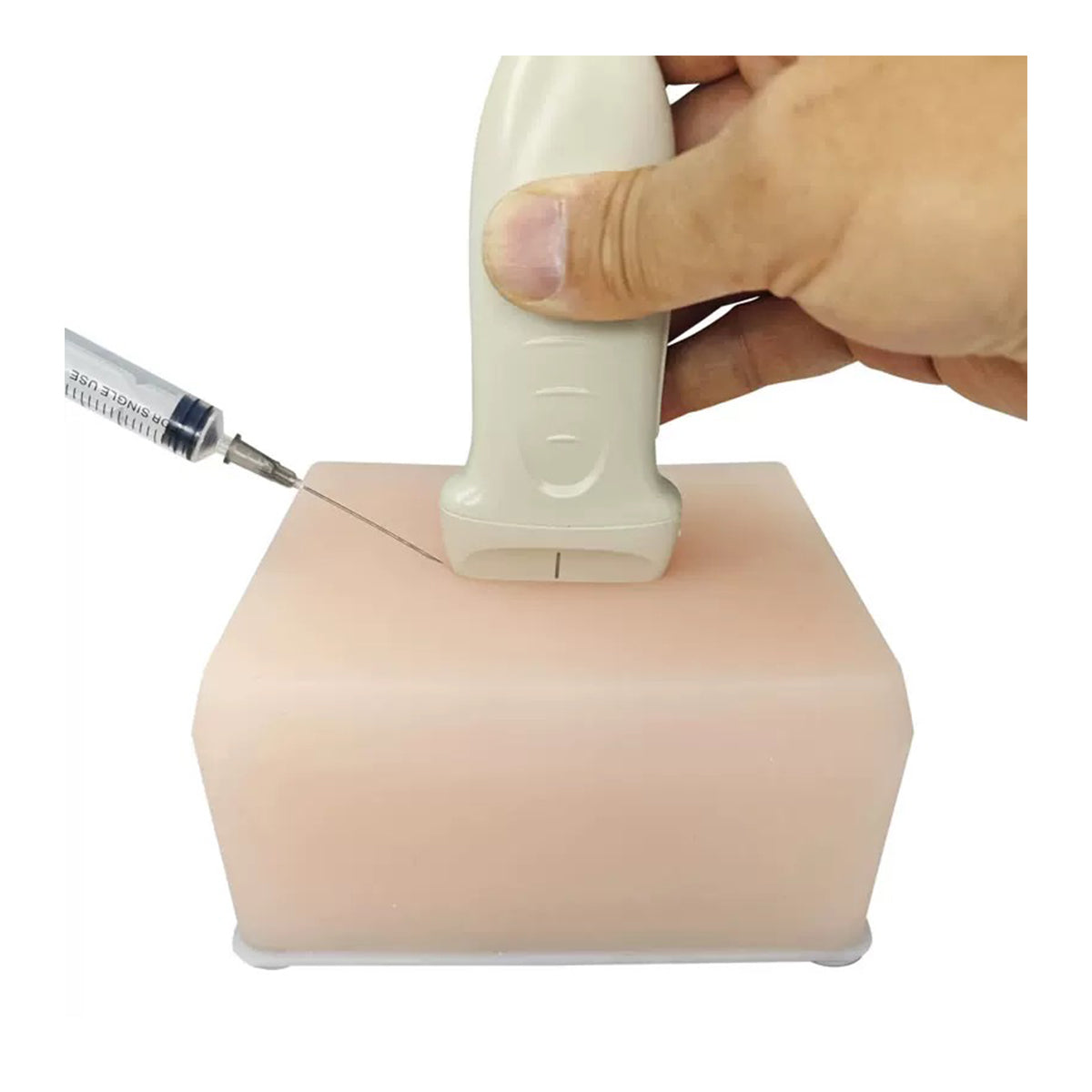 Ultrasound Training Pad with Veins, Nerves, Tumor and Cyst
