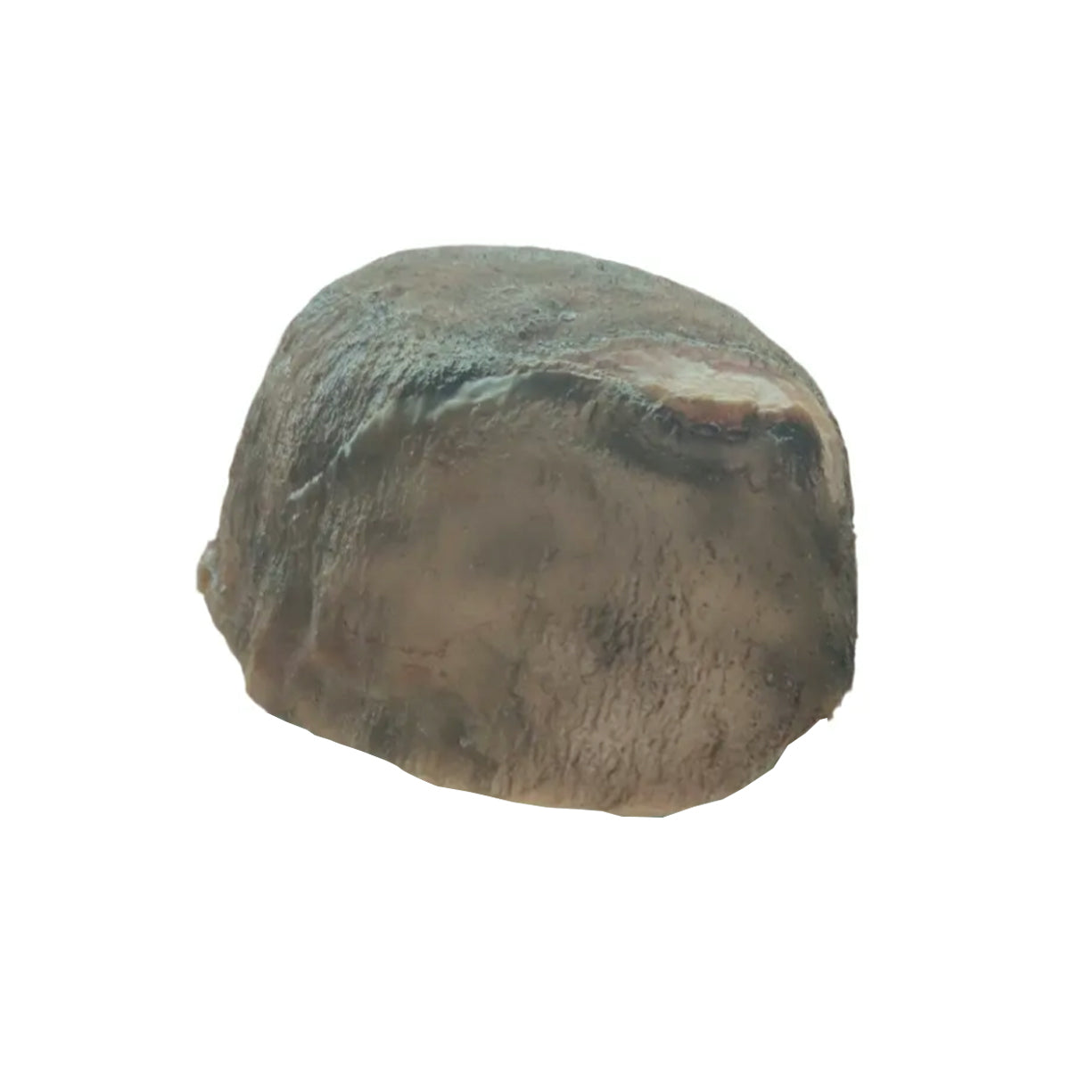 Scalp Wound Packing Training Model