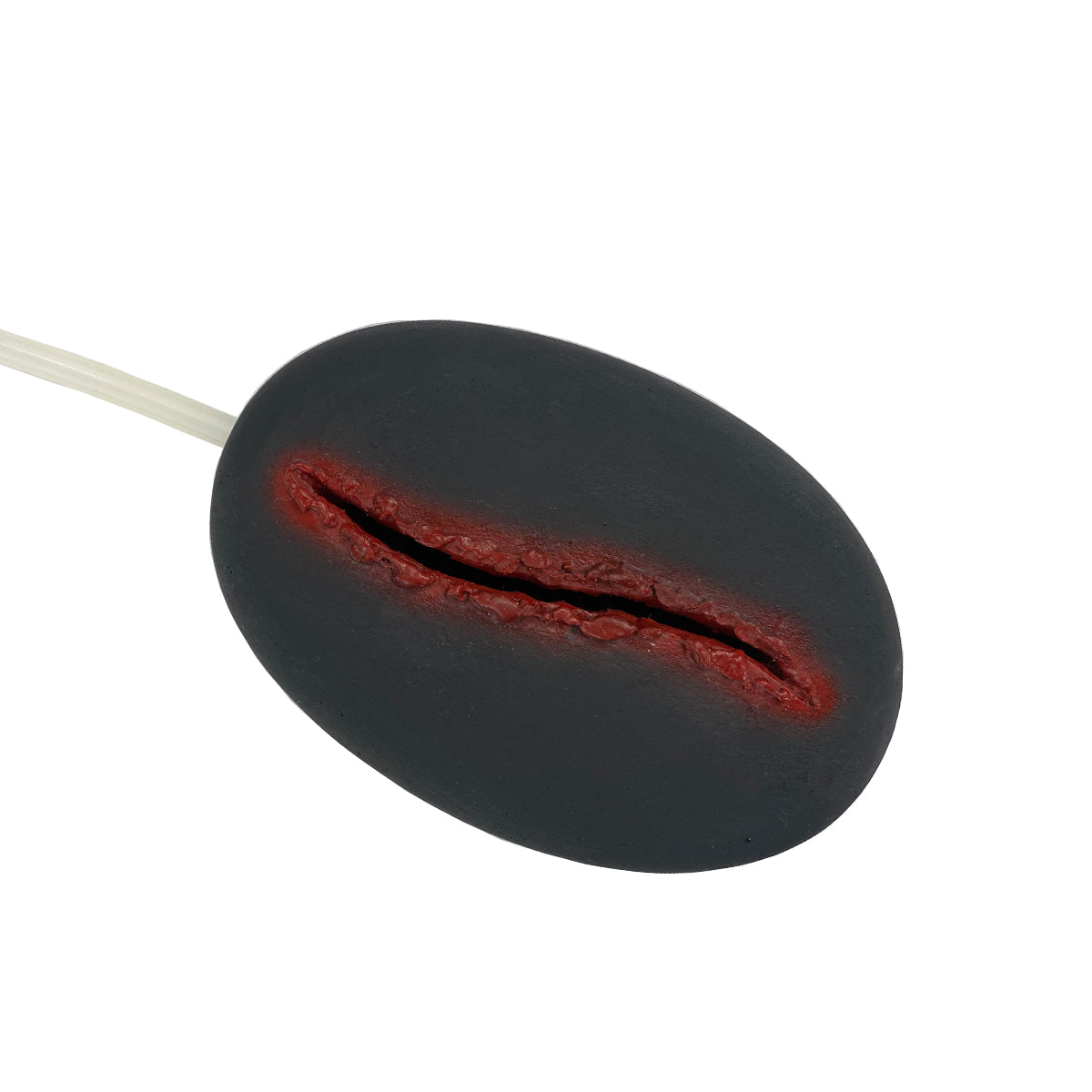 wound-packing-trainer