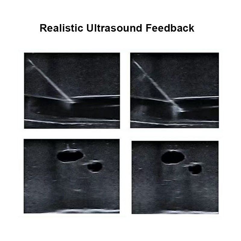 Ultrasound Guided Venous and Arterial Access Training Module