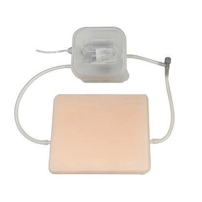 Ultrasound Training Pad with Veins, Nerves, Tumor and Cyst