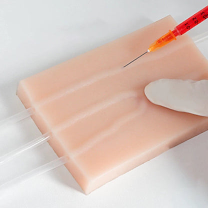 Intravenous Injection Model With Raised Veins