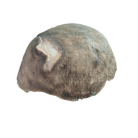 Scalp Wound Packing Training Model
