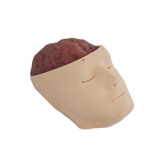 Brain Hematoma Removal Training Model