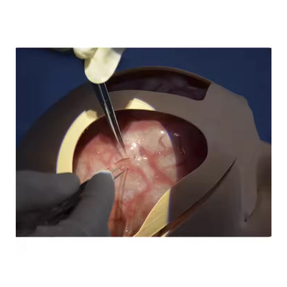 Dural Repair Training Model For Neurosurgery Training