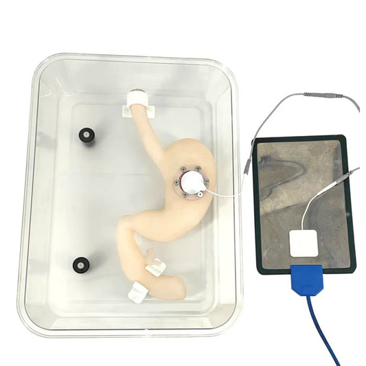 ESD(Endoscopic Submucosal Dissection) Training Model