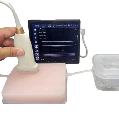 Ultrasound Guided PICC Placement Training Model