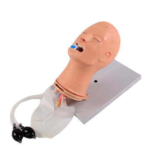 Airway Management Training Model