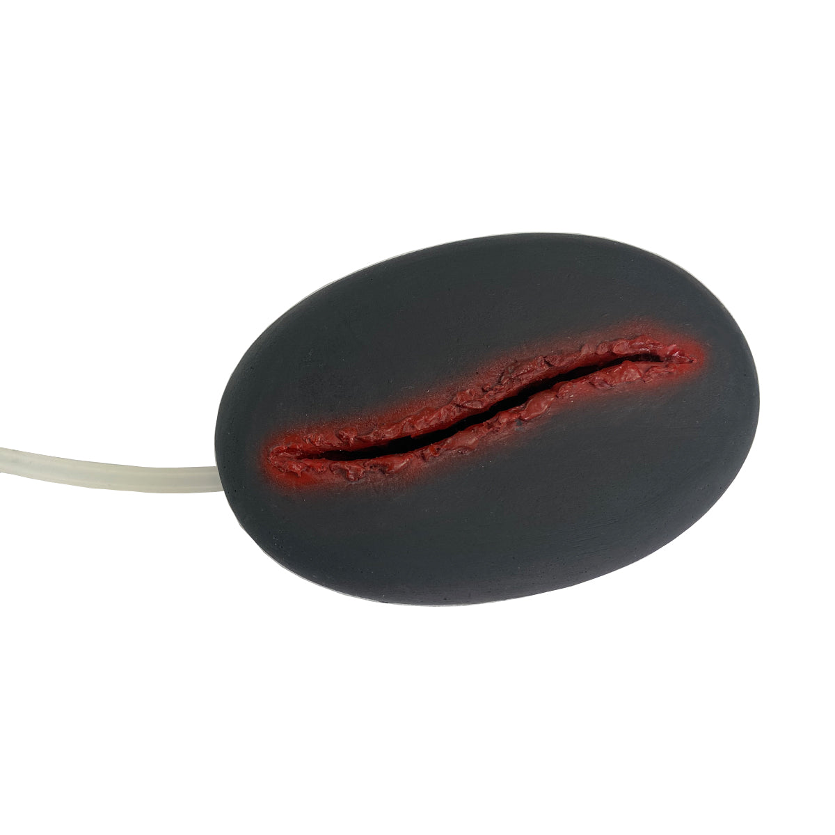 wound-model