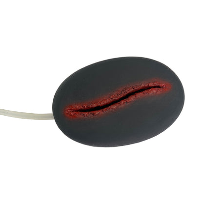 wound-model